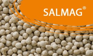 N 27 Salmag