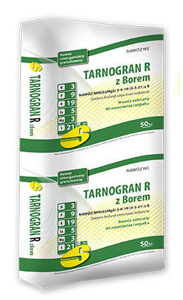 tarnogran_r_z_borem_SIARKOPOL.jpg